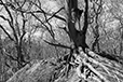 Against the Elements 29